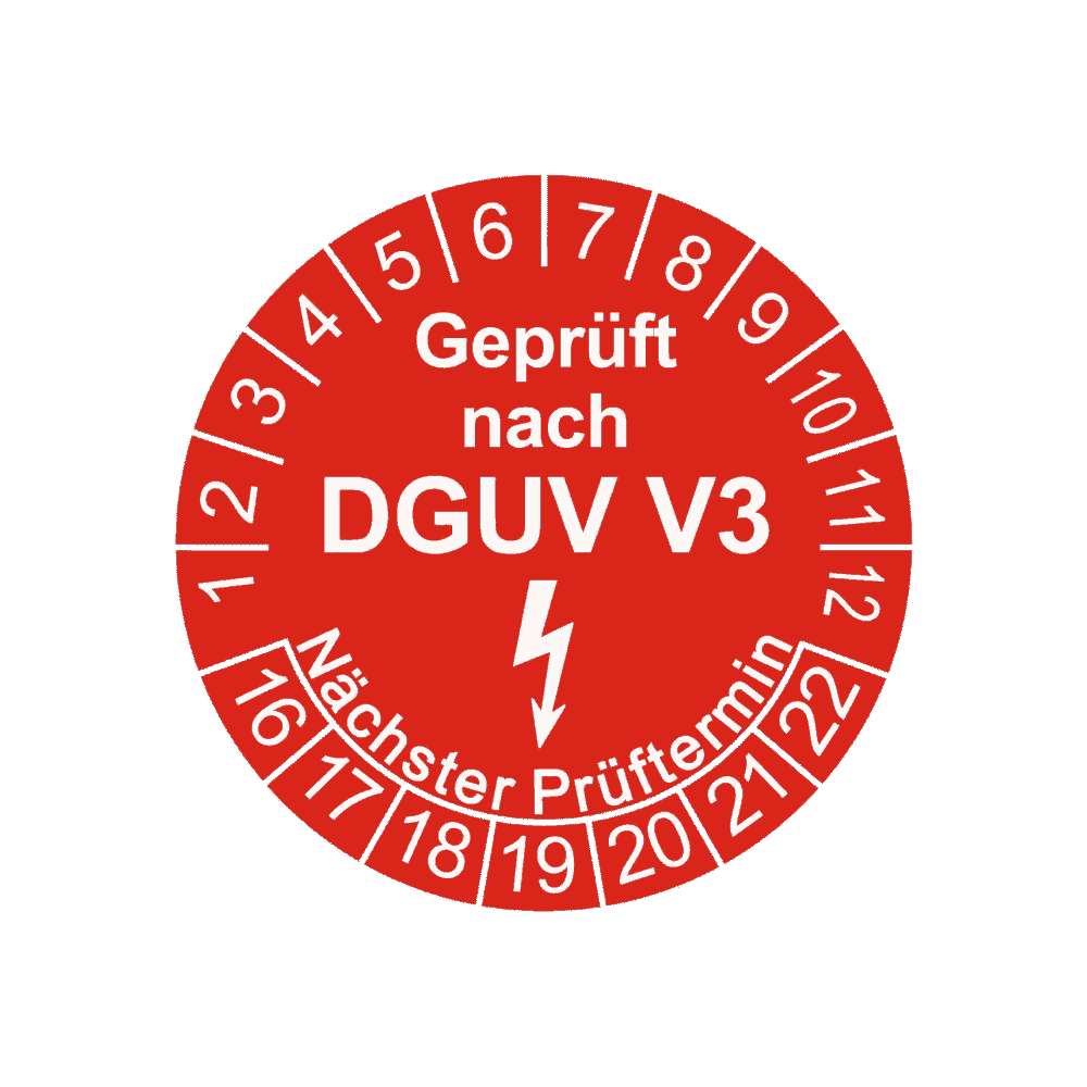 DGUV-V3: Prüfung, Protokoll